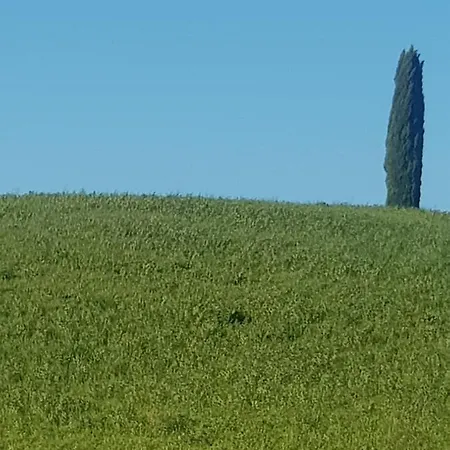 Casa Per L'osticcio Vista Sulla Val D'orcia * Montalcino