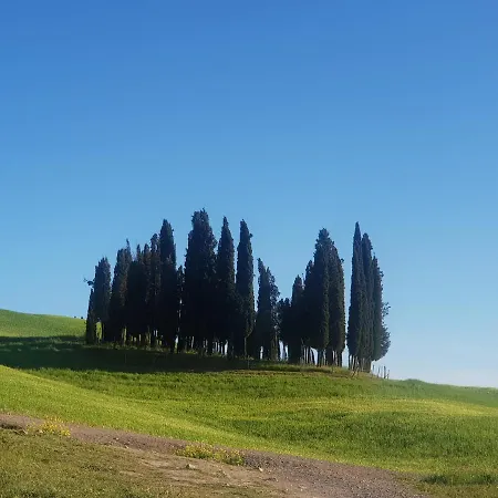 Casa Per L'osticcio Vista Sulla Val D'orcia * Montalcino