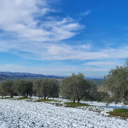 Casa Per L'osticcio Vista Sulla Val D'orcia Apartment